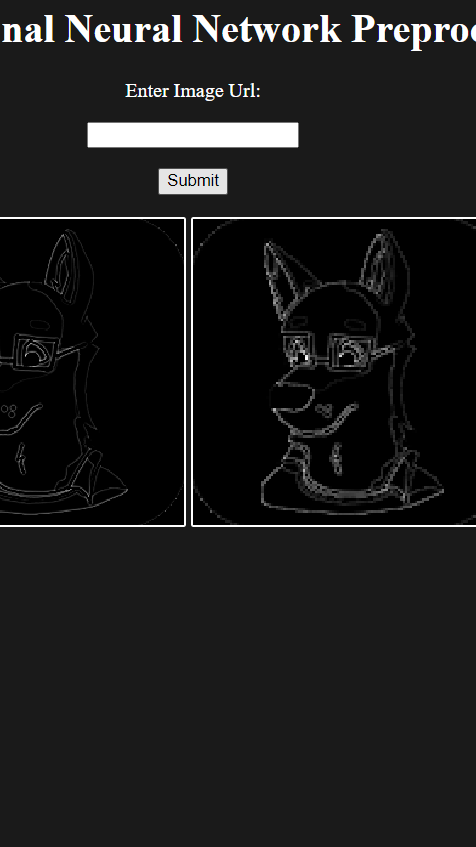 Convolutional Neural Network Preprocessor